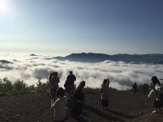 北海道トマムの雲海